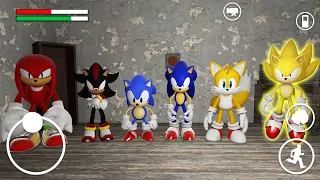 SONIC THE HEDGEHOG SHADOW SUPER KNUCKLES TAILS IN GRANNY ONLINE HORROR GAME Garry's Mod