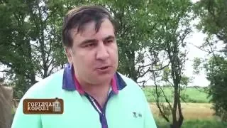 Водочные монополисты: кто крышует спиртовую мафию в Украине — Больше чем правда, 25.07