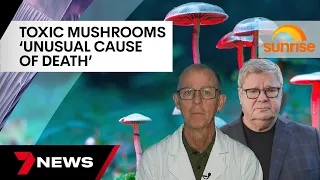 Expert says toxic mushrooms are a 'pretty unusual cause of death'