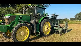 Peanut Harvest Begins 2023! (Total Crop Loss?)