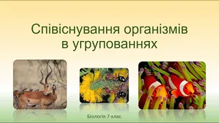 Біологія. Тварини. Співіснування організмів в угрупованнях