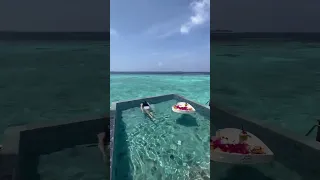 Floating breakfast in the Maldives💦 #shorts