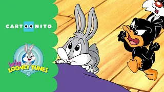 Baby Looney Tunes | Act Your Age | Cartoonito