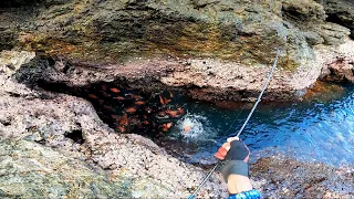 Hinulog Ko Lang Ang Lure Sa Biyak Ng Bato❗Nag Labasan Ang Mapupulang isda