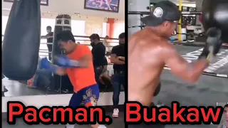 PACQUIAO Vs  BUAKAW    side by side training comparison