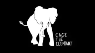 Ain't No Rest For The Wicked by Cage The Elephant |Lyrics|