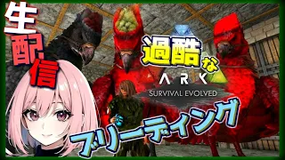 【Ark Survival Evolved 生配信】まだまだ妊活！ナナはお庭に来るトロオドンもどうにかしたい...アイランド PC版