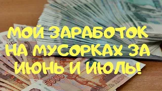 МОЙ ЗАРАБОТОК НА МУСОРКАХ ЗА ИЮНЬ И ИЮЛЬ!