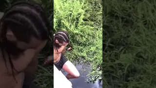 Guy jumps in water with an alligator