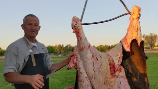 How to Harvest every part of Grass Fed Beef on the Farm!