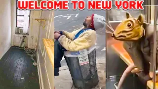 Why You Should NEVER Move to New York