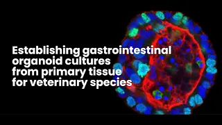 Lab Tutorial: Cultivating Gastrointestinal Organoids