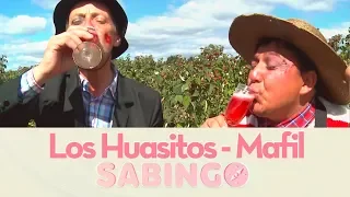 Los Huasitos recorrieron Mafil en la región de Los Ríos - Sabingo