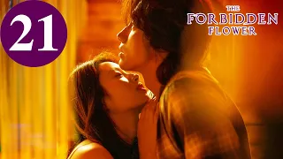 ENG SUB | The Forbidden Flower | EP21 | 夏花 | Jerry Yan, Xu Ruohan