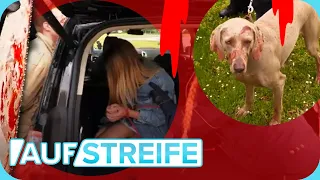 Blutverschmierter Hund! Polizisten machen sich auf das SCHLIMMSTE gefasst! | Auf Streife | SAT.1