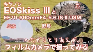 EOSkiss ⅢとEF70-300mmf4-5.6IS ⅡUSM・へたでもとりあえずフィルムで撮ってみる