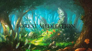 Nature's Harmony: Meditation Music in the Forest