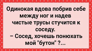 Одинокая Вдова Предложила Соседу Понюхать Ее "Бутон"! Сборник Веселых Анекдотов! Юмор!