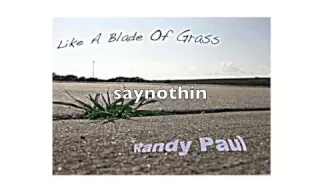 Randy Paul - Saynothin