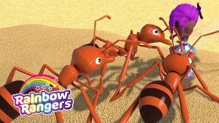 Ants! | Rainbow Rangers