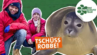 Hilfe für einsame Robben | Das Tierschutzteam | SWR Plus