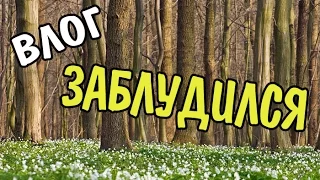 VLOG 255 Геленджик LIFE Заброшенный парк "Адмирал Врунгель" Геленджик