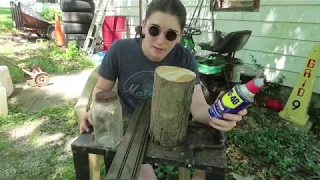 Killing Carpenter Bees with WD-40, Homemade Trap Experiment, Wasps Nests Too