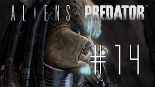 Aliens vs Predator 3 [Predator ] #14 - Zum zweiten Mal im Aliennest - Let`s Play