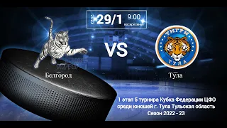 Белый тигр - Белгород / Тигры - Тула (начало трансляции 9:00)