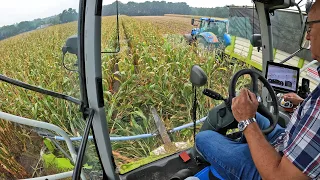 Cab View | Mais Silage | Claas Jaguar 940 | Gerritsen | 2020