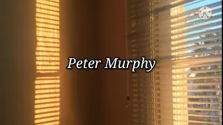 Peter Murphy-Cuts You Up Subtitulada Español