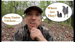 Turkey Season 2024 Validation: Stalk or Be Stalked. Arkansas Public Land (part 2 of 3)