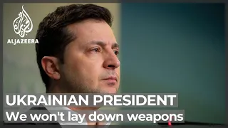 ‘We won’t put down weapons’: Zelenskyy vows to fight on in Kyiv