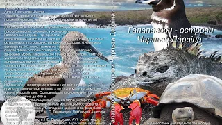 Галапагоси - острови Чарльза Дарвіна
