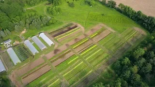 Making Thousands a Week Selling Greens