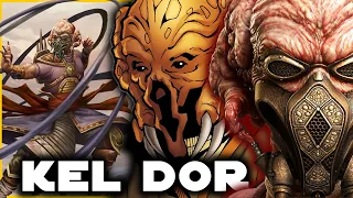 The SINISTER Side of these Psychic Sages | Kel Dor (Plo Koon Species)