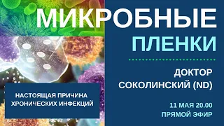 Микробные пленки. Как избавиться от хронической инфекции. Доктор Соколинский (ND)