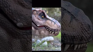 Project Guardian, Part 1 Short:  #toys #dinosaur #jurassicworld #toymovie #short