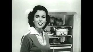 1956 Multi-functional Fridge Commercial