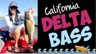 STACY'S EVENING ON THE DELTA 🌅 - Fishing for Largemouth Bass and Stripers 🎣🐟