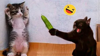 You Laugh You Lose 😁 Funniest Animals 2024 😺🐶 New Funny Cats and Dogs Videos 😹🐶 p26