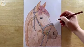 Как нарисовать Лошадь / Как нарисовать Коня / Как нарисовать Жеребца / Horse easy drawing