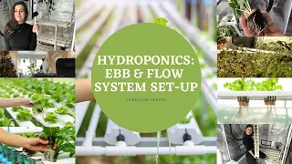 Transplant With Me // Hydroponic Ebb & Flow System for Veggies & Herbs!!