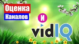 Вам нужна оценка каналов? С программой vidIQ