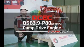 DCEC Cummins QSB3.9-P80B Pump Engine Introduction 2022 [Specifications and Scopes of Supply]