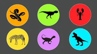 Guess The Picture Jurassic World: Mosasaurus, Starfish, Hippo, Triceratops, Crab, Snake