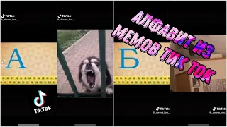 Буква А | алфавит из мемов | алфавит из тик ток 😂 #TikTok