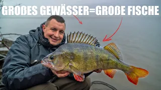 Hier gibt es XXL-RAUBFISCHE - Uferangeln im Großgewässer