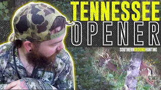 FINDING EARLY SEASON BUCKS IN TENNESSEE | Opening Day | Public Land Hunting