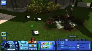 Let's play The Sims 3 University Life. #6 Скоро экзамены...